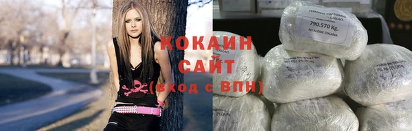 дмт Нягань