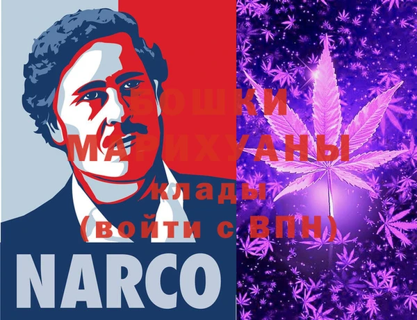 дмт Нягань