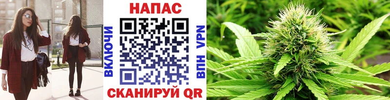 Бошки марихуана сатива где можно купить наркотик blacksprut ССЫЛКА Лебедянь